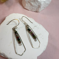 Nwe Earrings