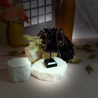Alice Earrings
